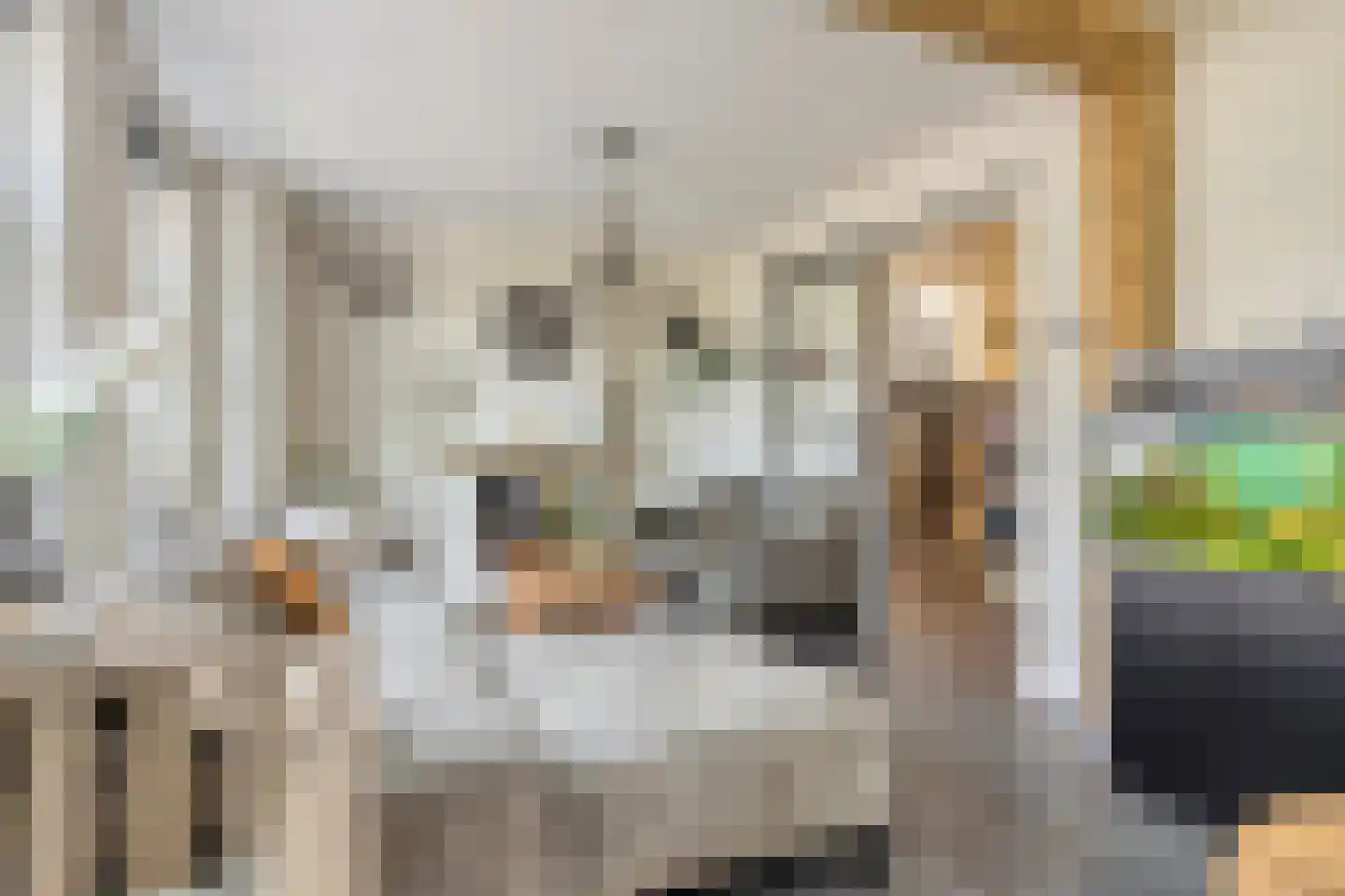 A de Koningstraat 8 Kwadendamme thumbnail 7