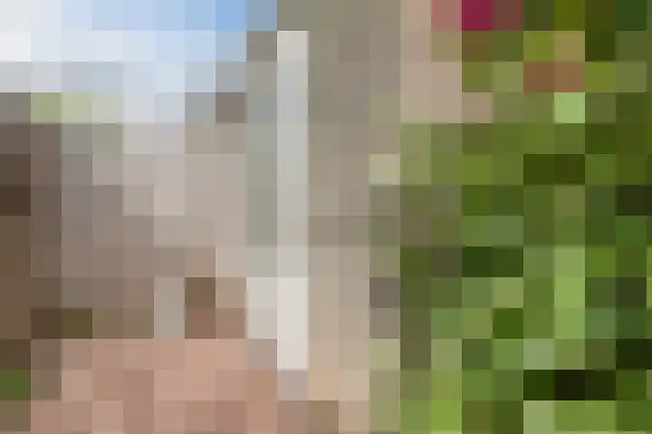 A. den Doolaardstraat 3 Almere thumbnail 33