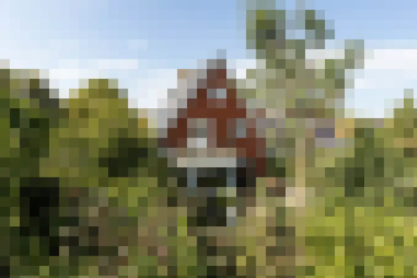 A.E. Gorterweg 16 Woldendorp thumbnail 11
