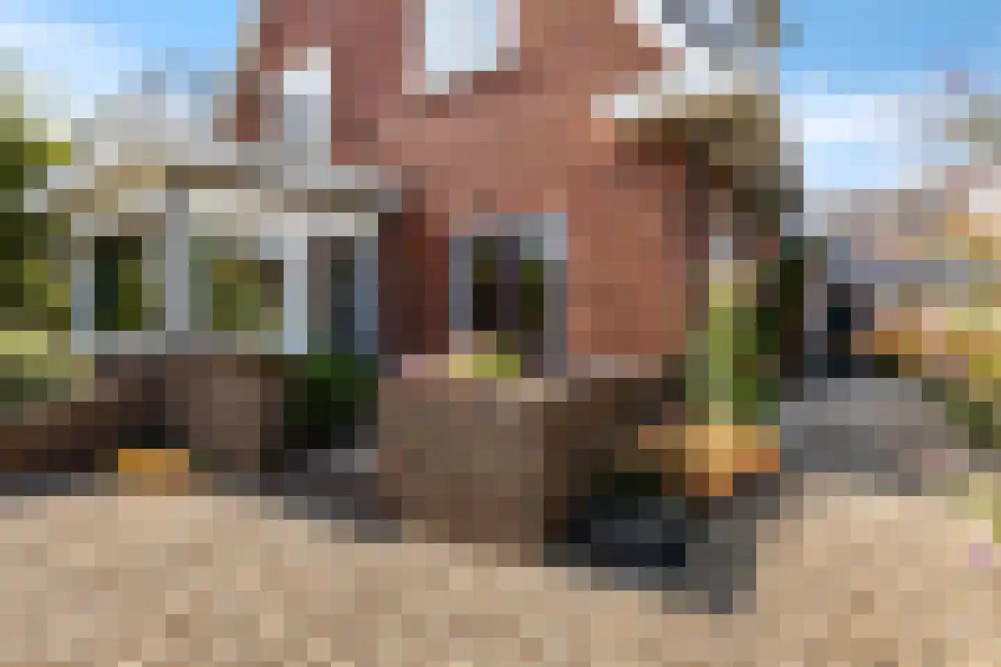 A.E. Gorterweg 16 Woldendorp thumbnail 13