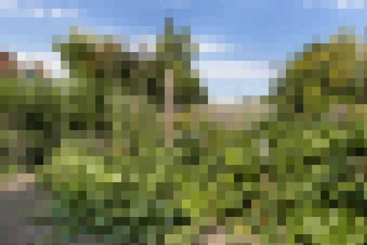 A.E. Gorterweg 16 Woldendorp thumbnail 14