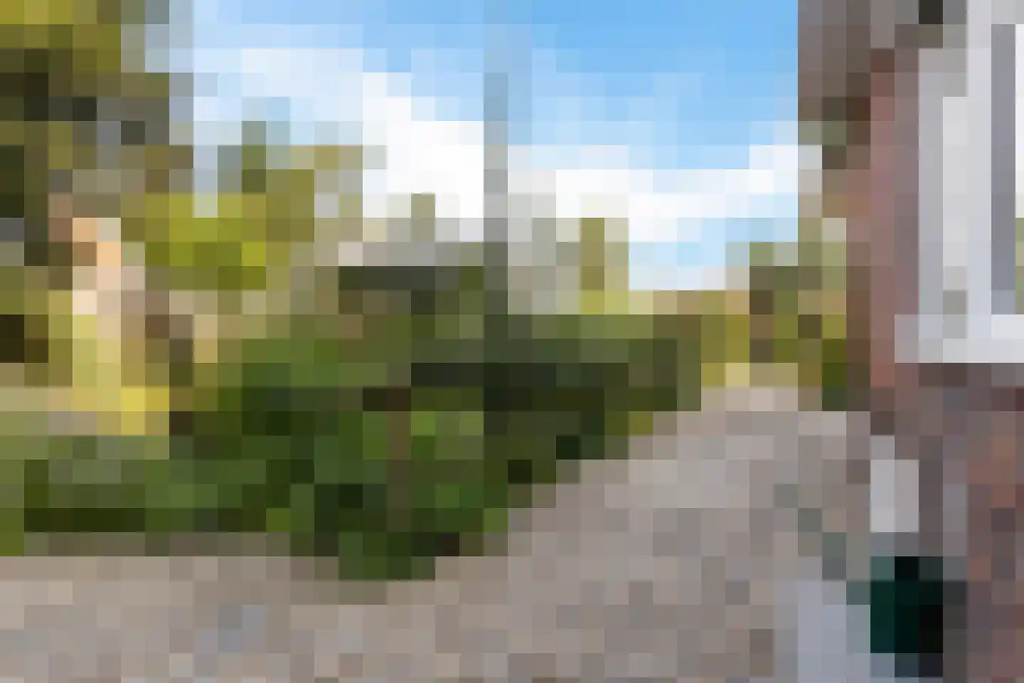 A.E. Gorterweg 16 Woldendorp thumbnail 16