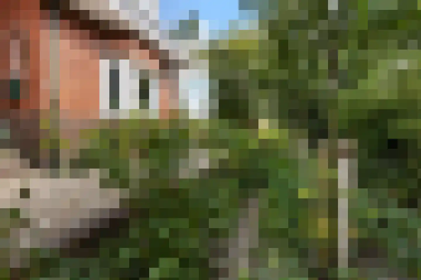 A.E. Gorterweg 16 Woldendorp thumbnail 18