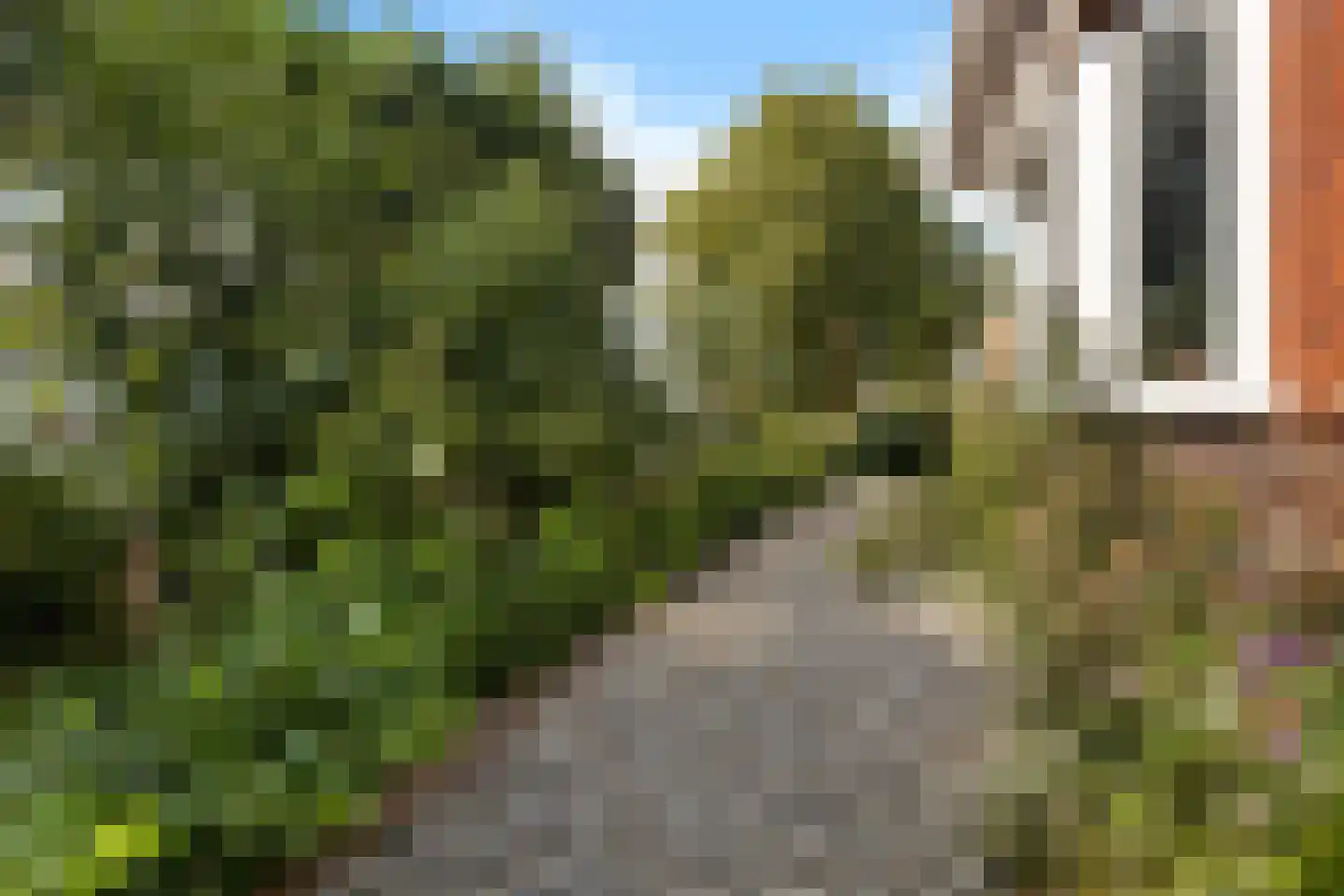 A.E. Gorterweg 16 Woldendorp thumbnail 19