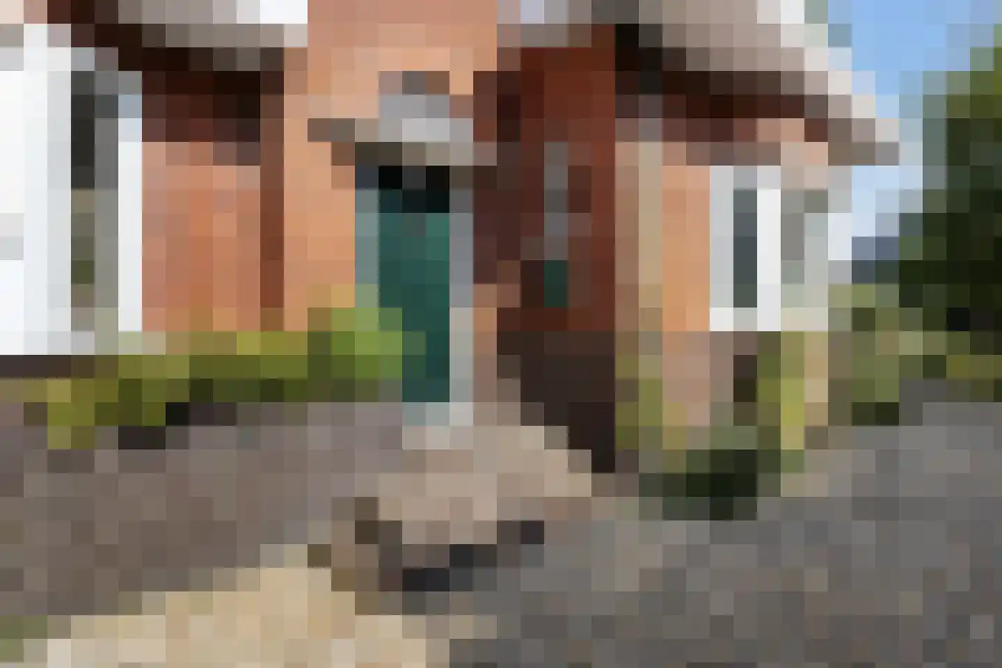 A.E. Gorterweg 16 Woldendorp thumbnail 20