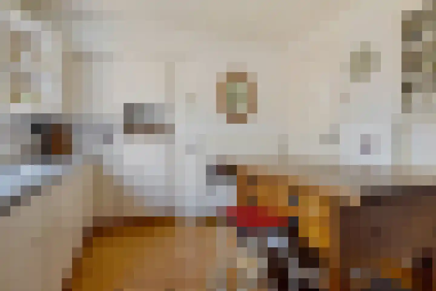 A.E. Gorterweg 16 Woldendorp thumbnail 36