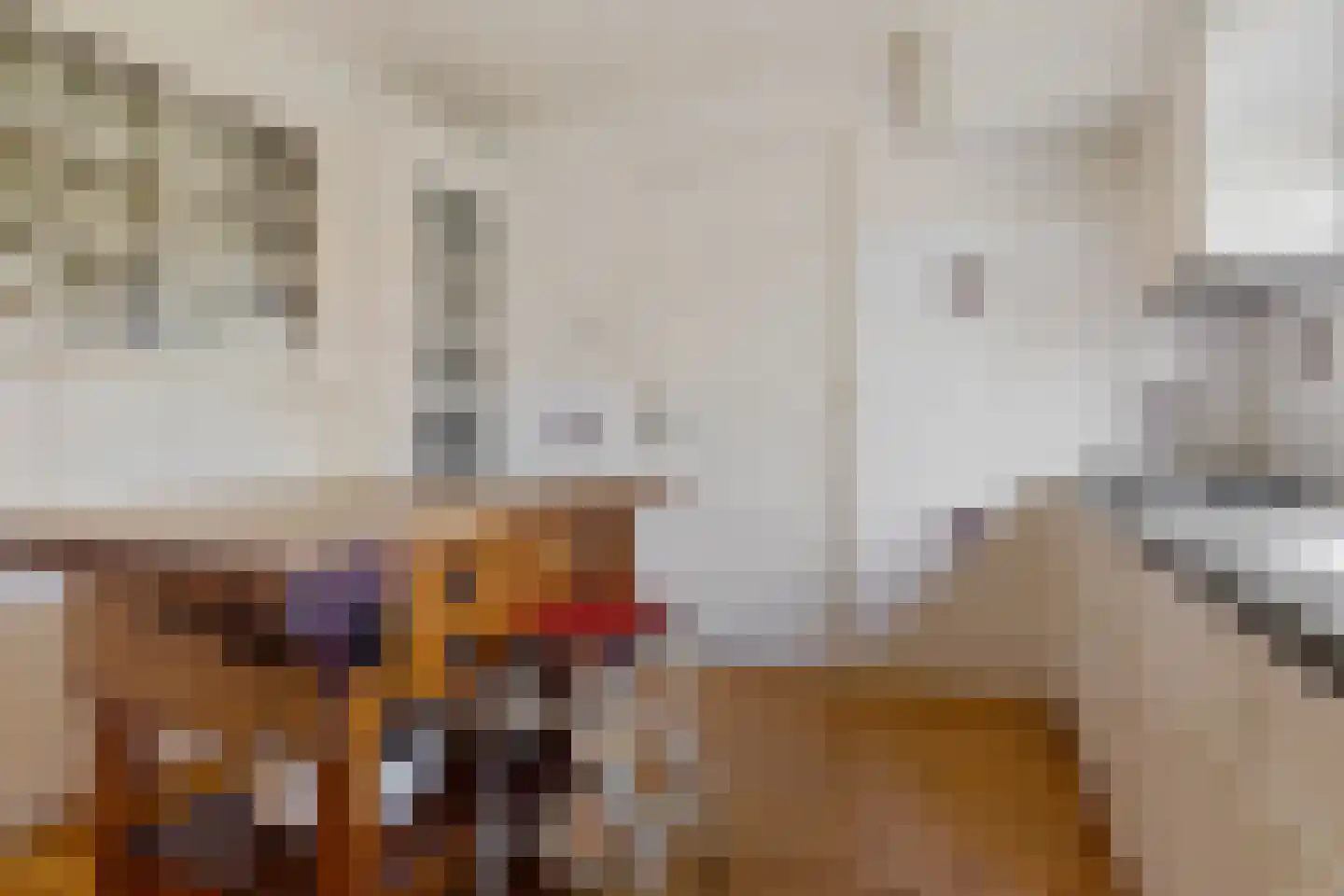 A.E. Gorterweg 16 Woldendorp thumbnail 38
