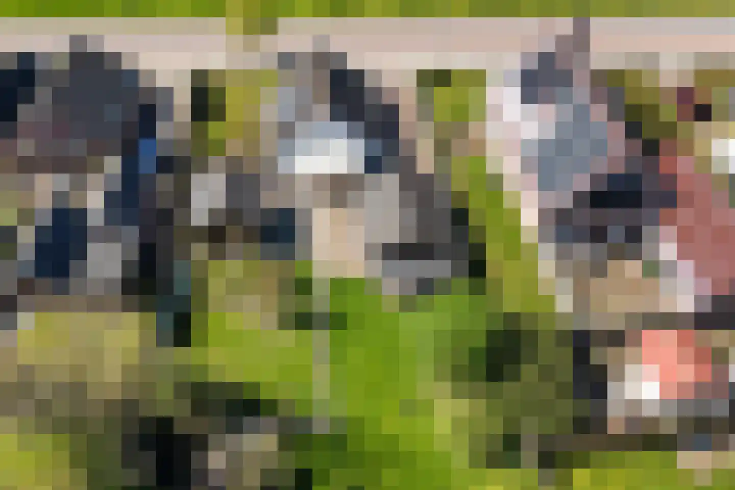 A.E. Gorterweg 72 Woldendorp thumbnail 10