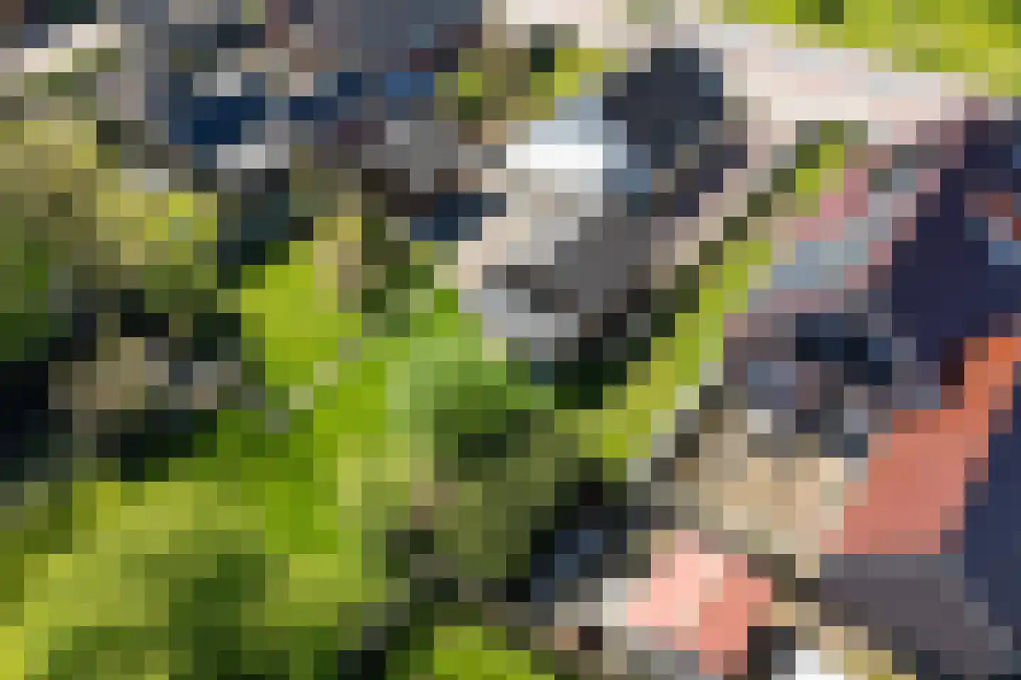 A.E. Gorterweg 72 Woldendorp thumbnail 11