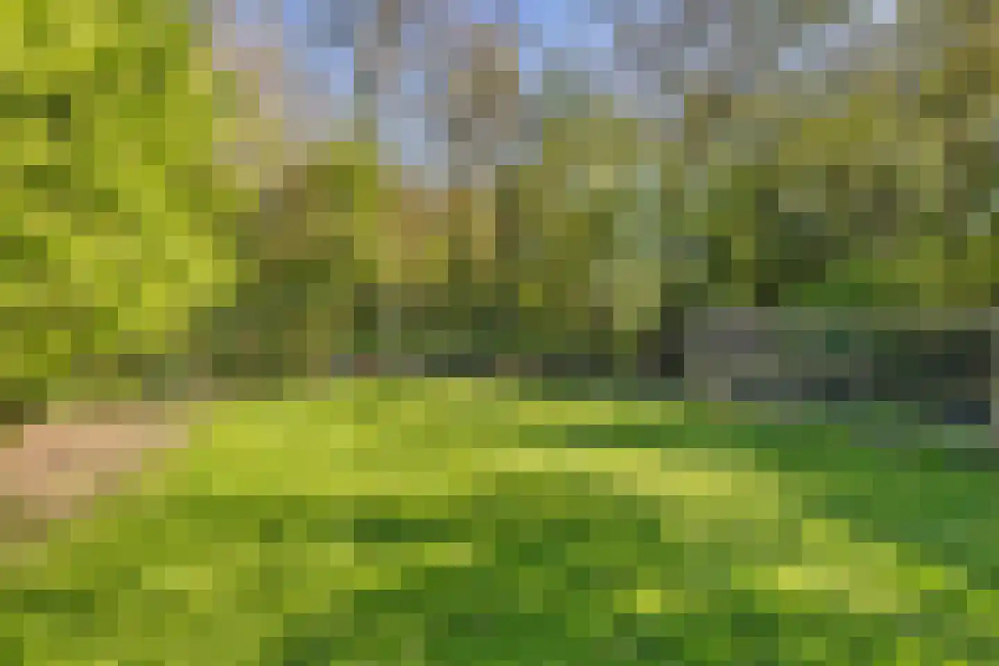 A.E. Gorterweg 72 Woldendorp thumbnail 16