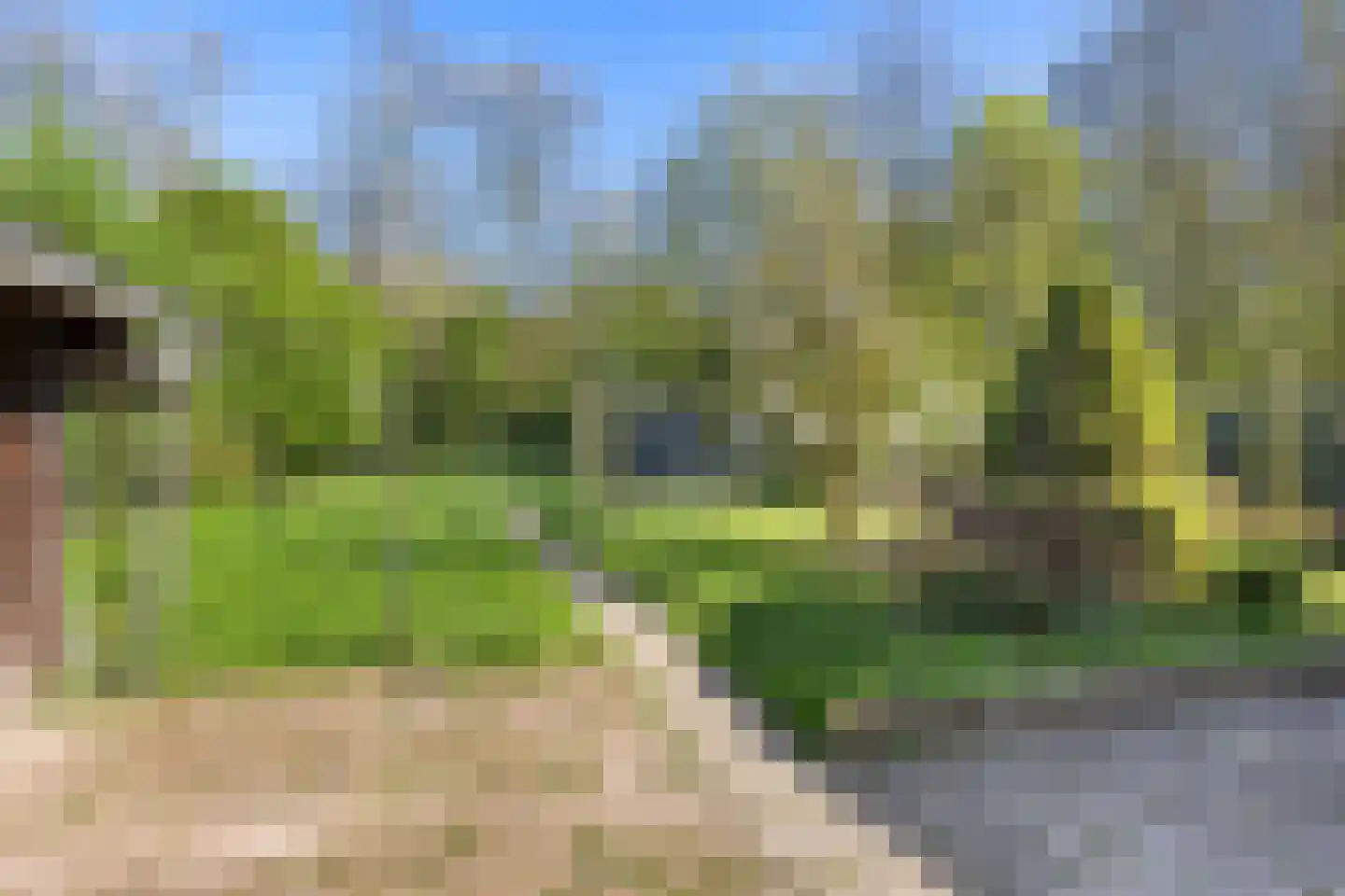 A.E. Gorterweg 72 Woldendorp thumbnail 18
