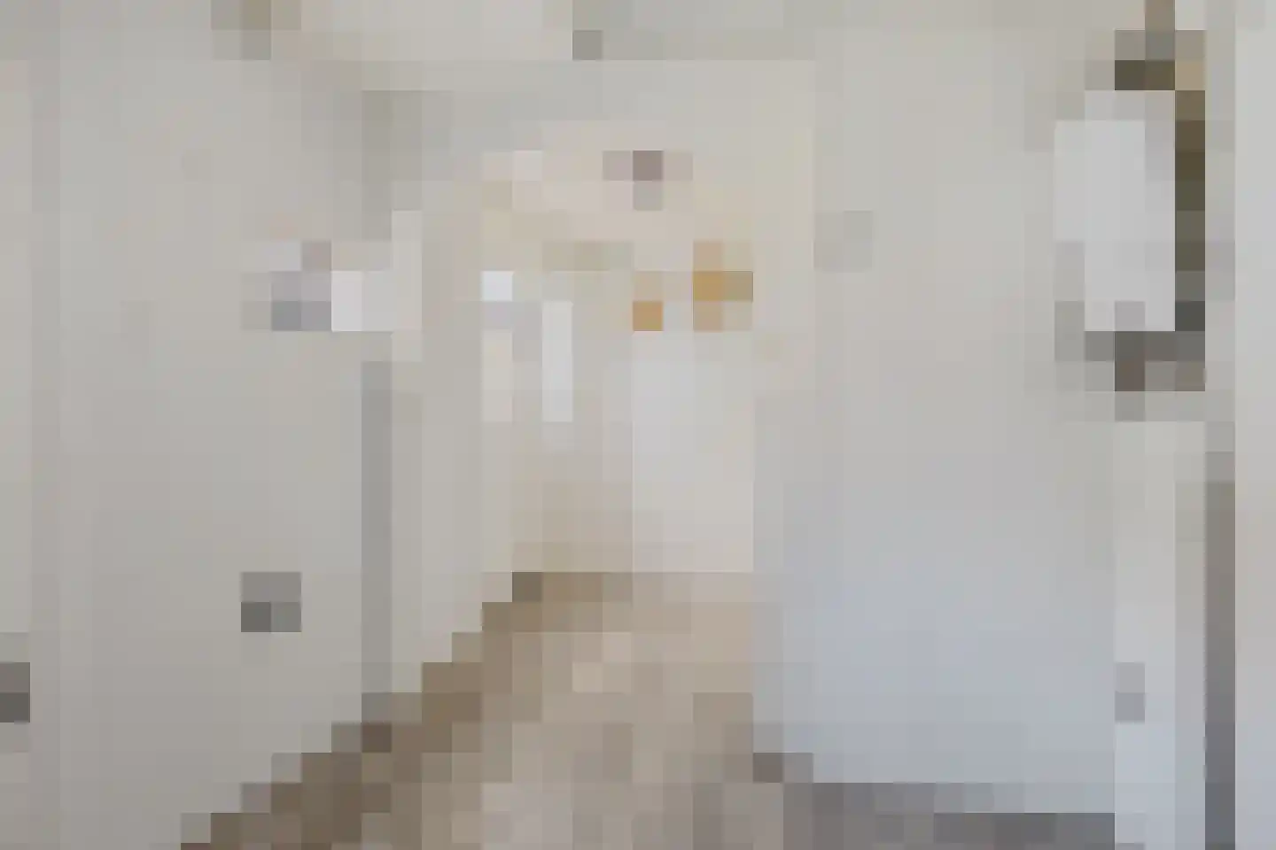A.E. Gorterweg 72 Woldendorp thumbnail 34