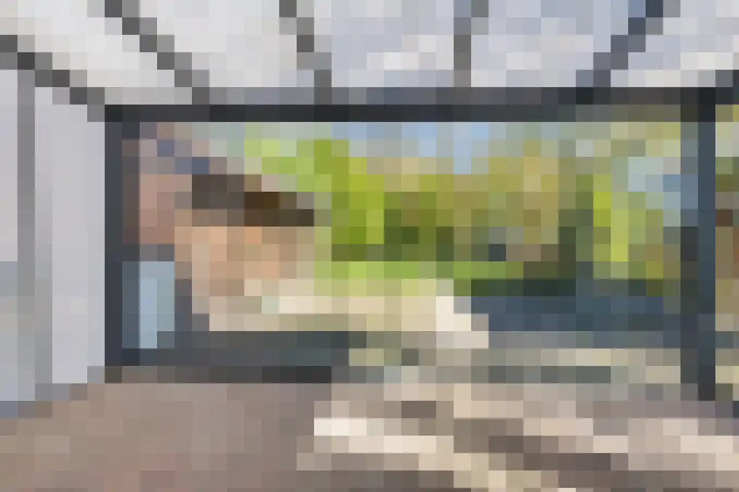 A.E. Gorterweg 72 Woldendorp thumbnail 40