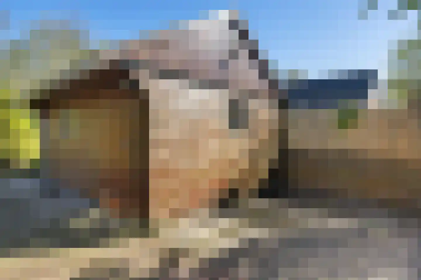 A.E. Gorterweg 72 Woldendorp thumbnail 41