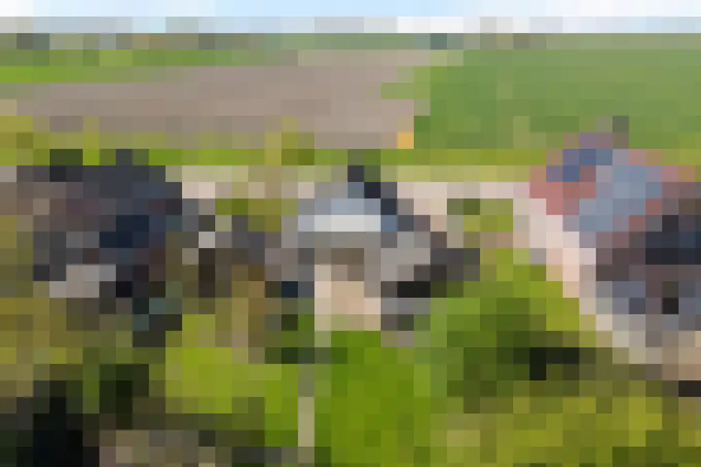 A.E. Gorterweg 72 Woldendorp thumbnail 9