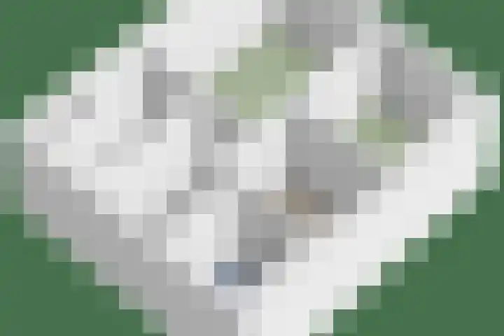 A.F. de Savornin Lohmanstraat 13 A Zaandam thumbnail 28