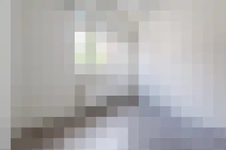 A.F. de Savornin Lohmanstraat 25 B Zaandam thumbnail 11
