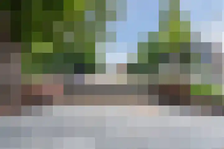 A.F. de Savornin Lohmanstraat 25 B Zaandam thumbnail 18