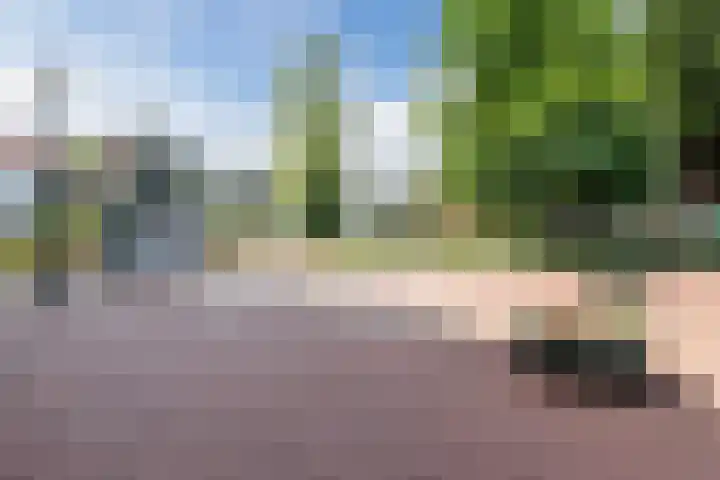 A.F. de Savornin Lohmanstraat 25 B Zaandam thumbnail 19