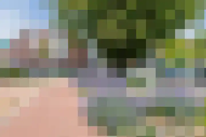A.F. de Savornin Lohmanstraat 25 B Zaandam thumbnail 20