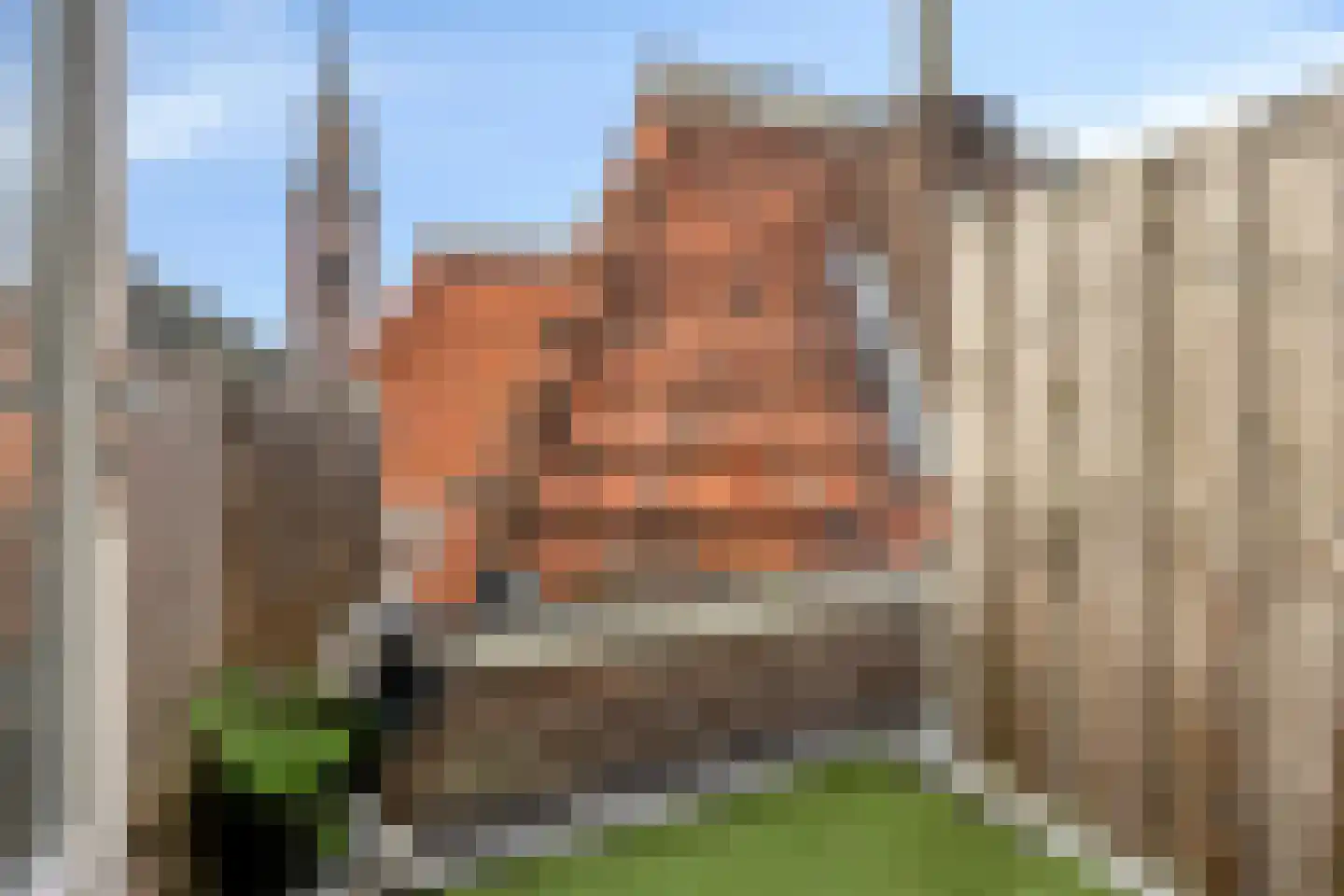 A.F. de Savornin Lohmanstraat 25 E Zaandam thumbnail 6