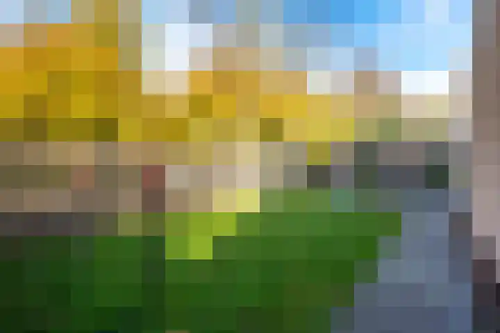 A. Frederikshof 1 Purmerend thumbnail 14