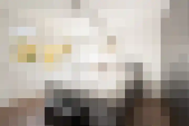 A. Frederikshof 1 Purmerend thumbnail 17
