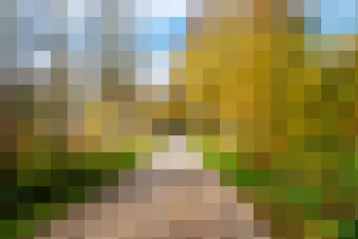 A. Frederikshof 1 Purmerend thumbnail 37