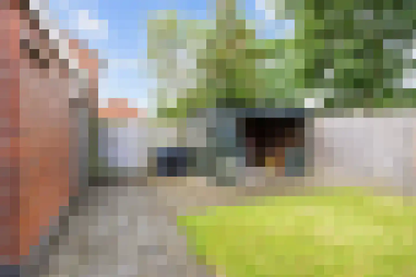 A.G. Bellstraat 46 Warffum thumbnail 39