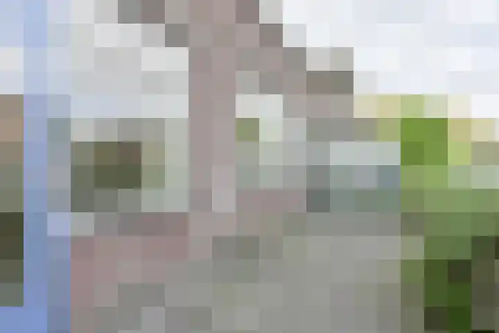 A.G.M. van der Hoevenstraat 22 Ter Aar thumbnail 28
