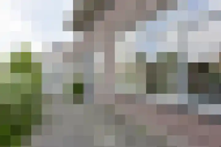 A.G.M. van der Hoevenstraat 22 Ter Aar thumbnail 29