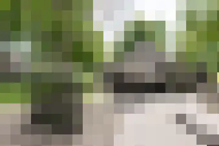 A.G.M. van der Hoevenstraat 22 Ter Aar thumbnail 35
