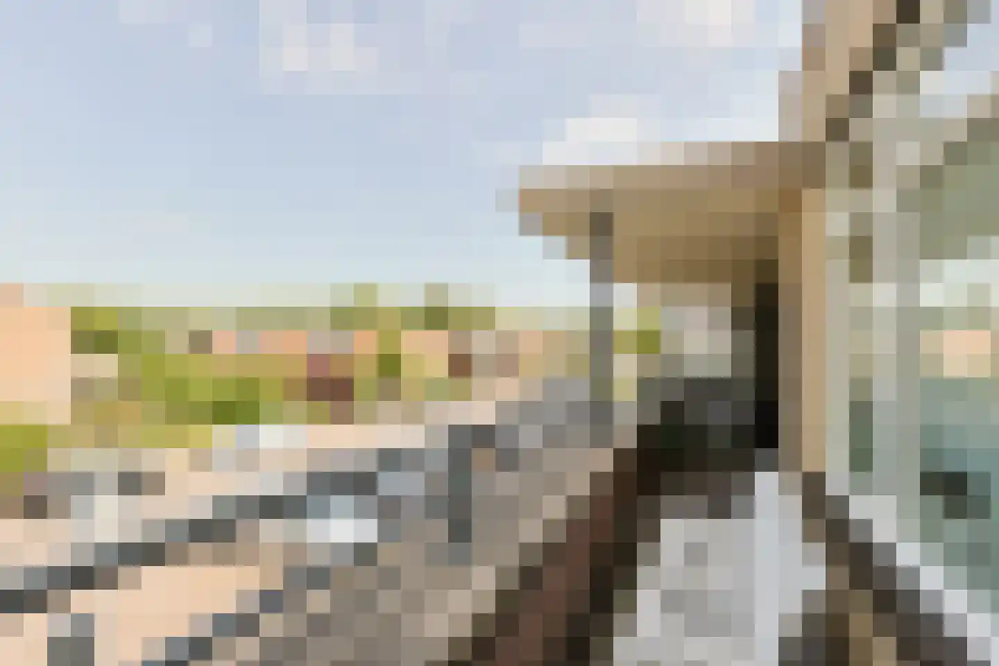 A.G.M. van der Hoevenstraat 38 Ter Aar thumbnail 29