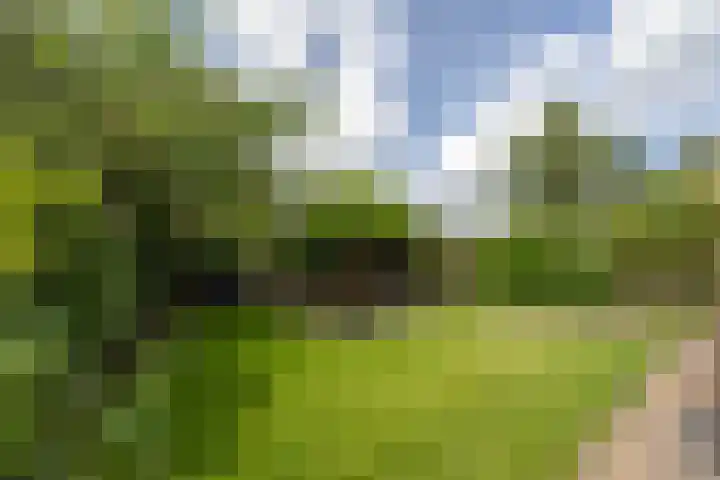 A.G.M. van der Hoevenstraat 85 Ter Aar thumbnail 31