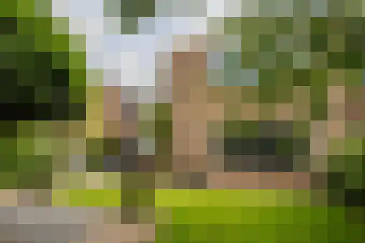 A.G.M. van der Hoevenstraat 85 Ter Aar thumbnail 32