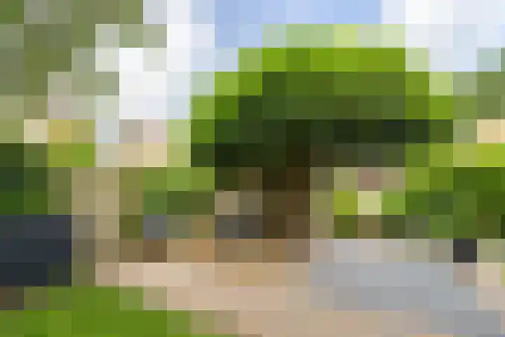 A.G.M. van der Hoevenstraat 85 Ter Aar thumbnail 33