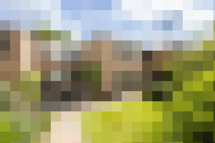 A.G.M. van der Hoevenstraat 85 Ter Aar thumbnail 34