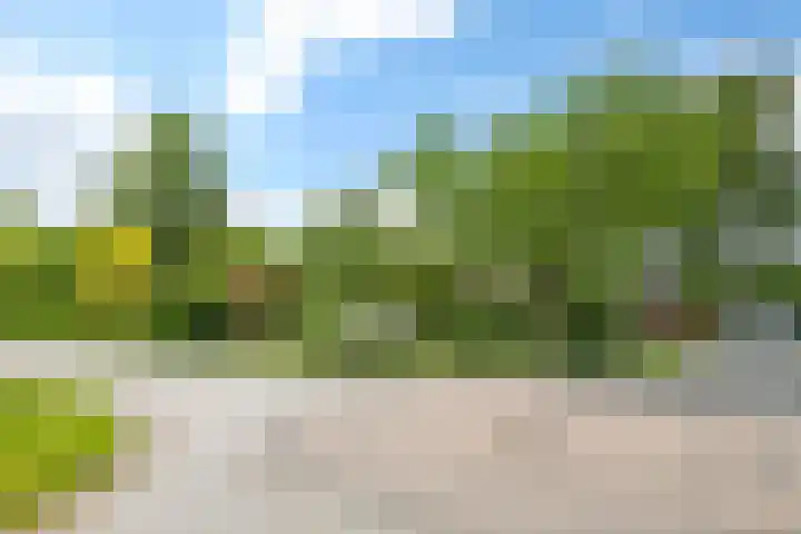 A.G. Noijweg 36 Hoog-Keppel thumbnail 64