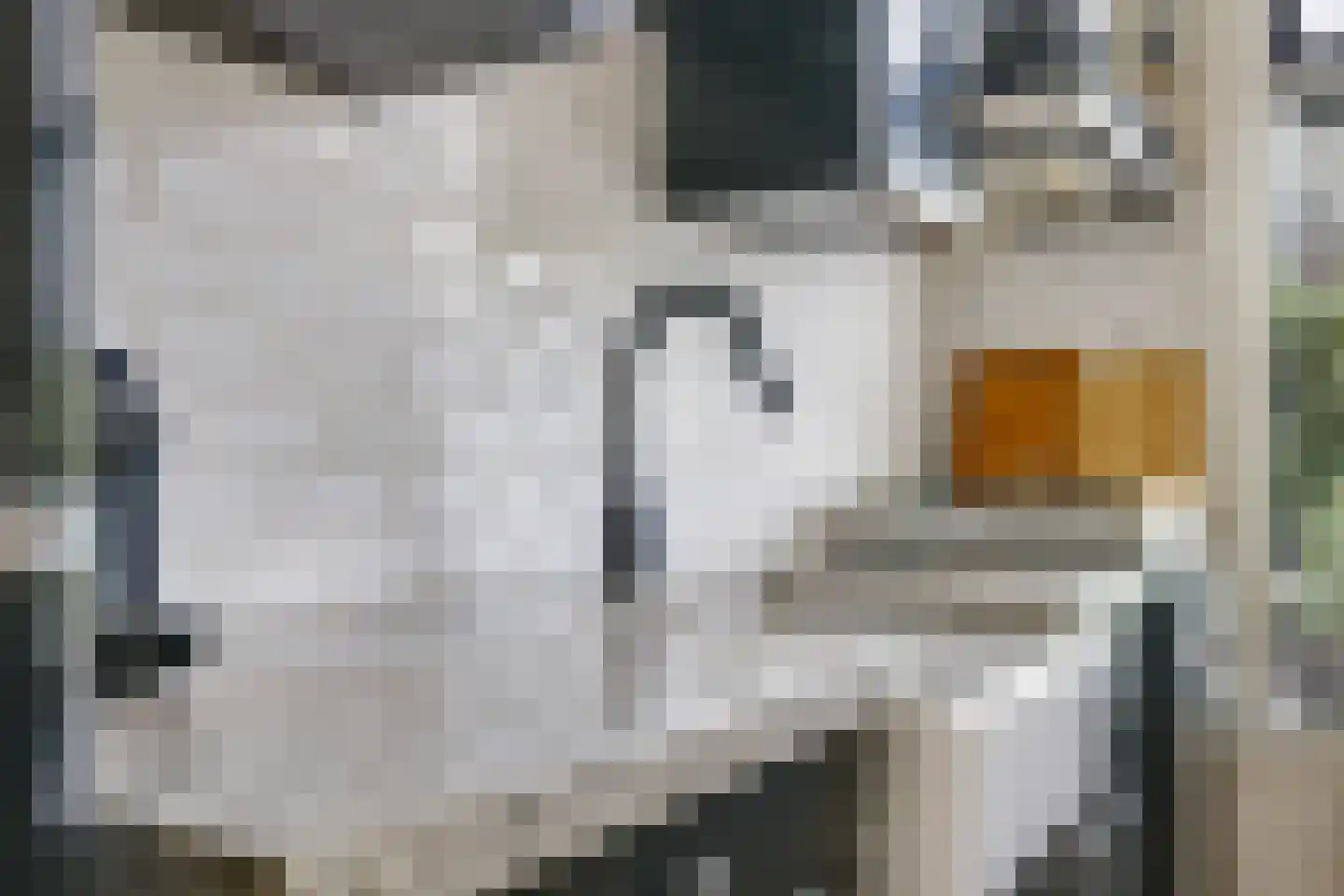 A.G. Noijweg 41 Hoog-Keppel thumbnail 19