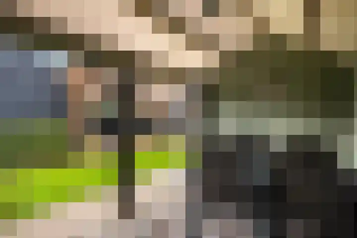 A.G. Wijersweg 13 Wekerom thumbnail 35