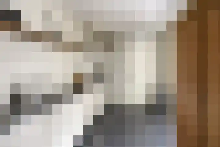A.G. Wijersweg 2 Wekerom thumbnail 14