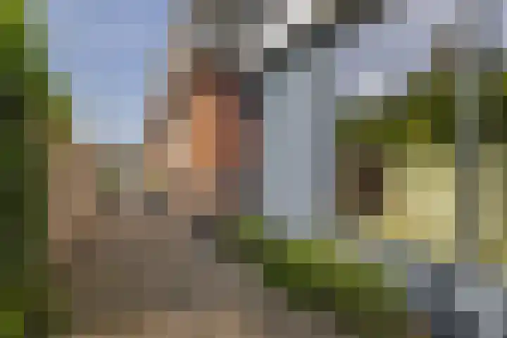 A.G. Wildervanckstraat 15 Wildervank thumbnail 7