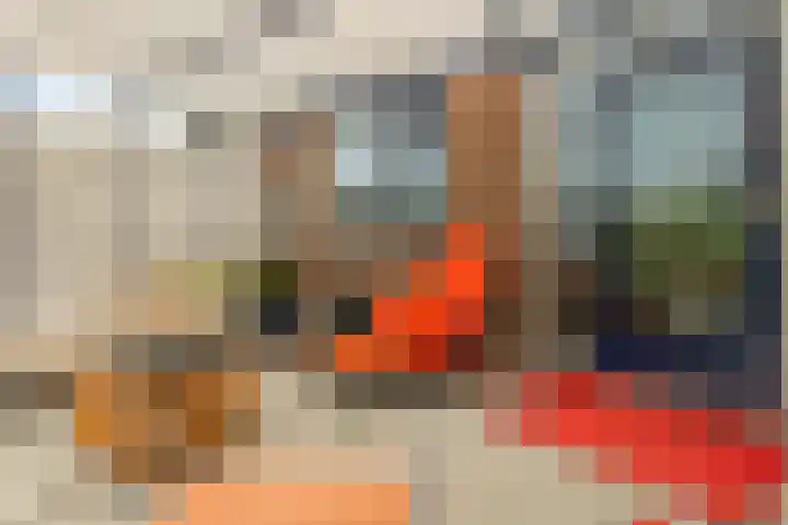 A.G. Wildervanckstraat 4 Wildervank thumbnail 30