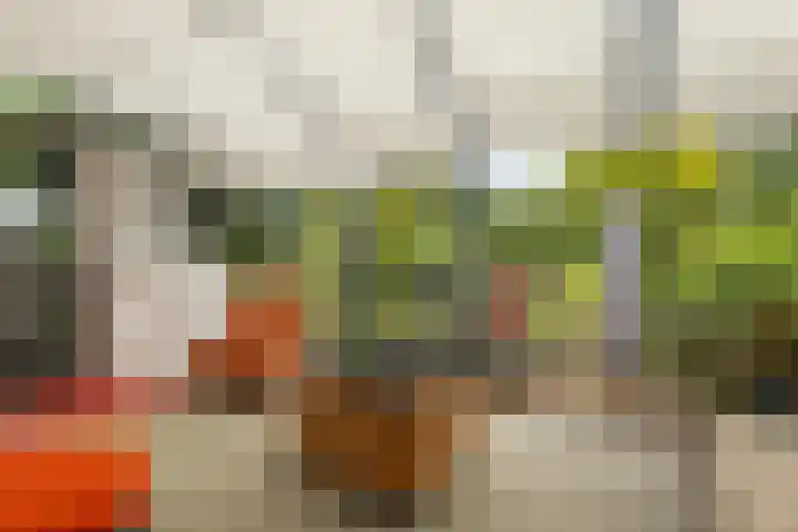 A.G. Wildervanckstraat 4 Wildervank thumbnail 31