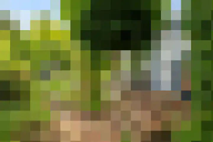 A.G. Wildervanckstraat 4 Wildervank thumbnail 32