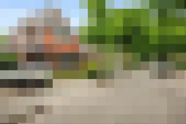 A.G. Wildervanckstraat 4 Wildervank thumbnail 37
