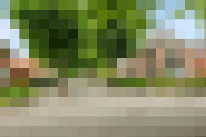 A.G. Wildervanckstraat 4 Wildervank thumbnail 38