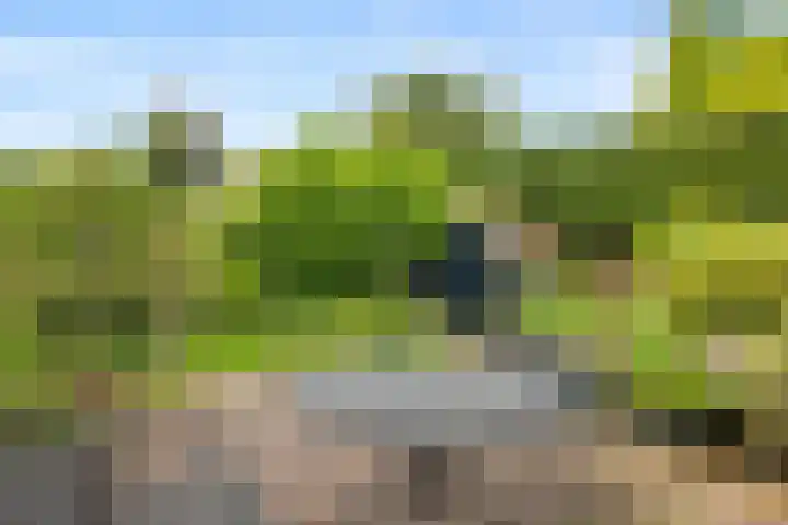 A.G. Wildervanckstraat 4 Wildervank thumbnail 5