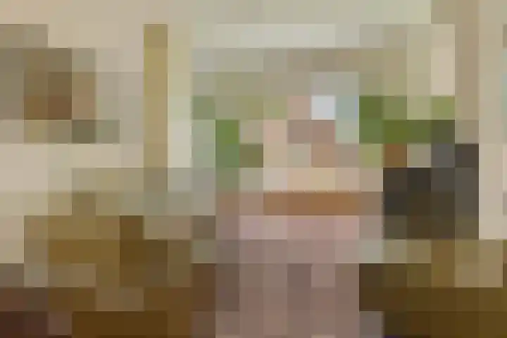 A.G. Wildervanckstraat 4 Wildervank thumbnail 7