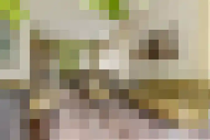A.G. Wildervanckstraat 4 Wildervank thumbnail 9